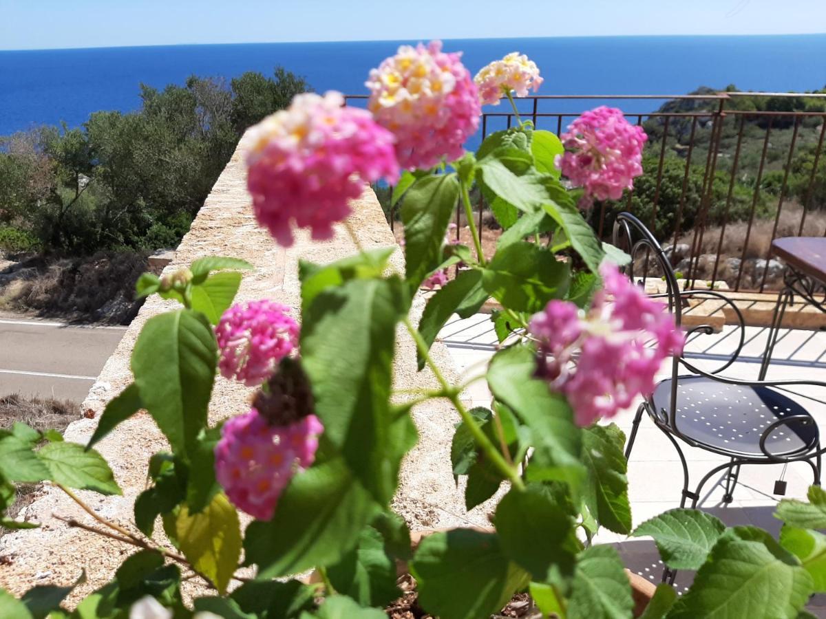 Villetta Cipolliane Santa Maria di Leuca Zewnętrze zdjęcie